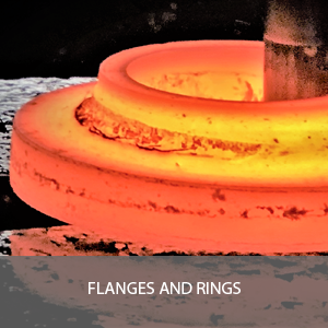 FLANGES AND RINGS
